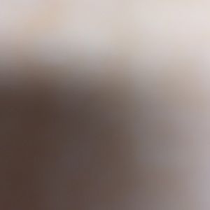 Meet your Posher, Dakari